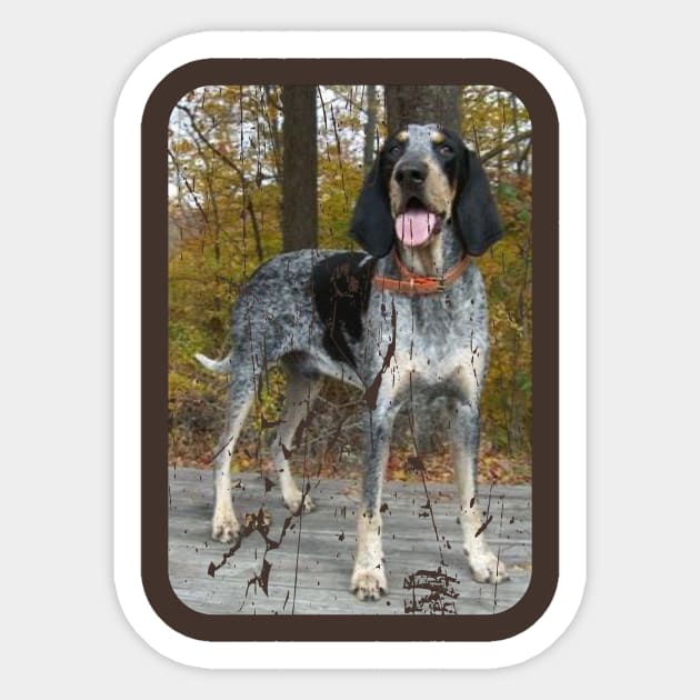 BLUETICK COONHOUND Sticker by Cult Classics